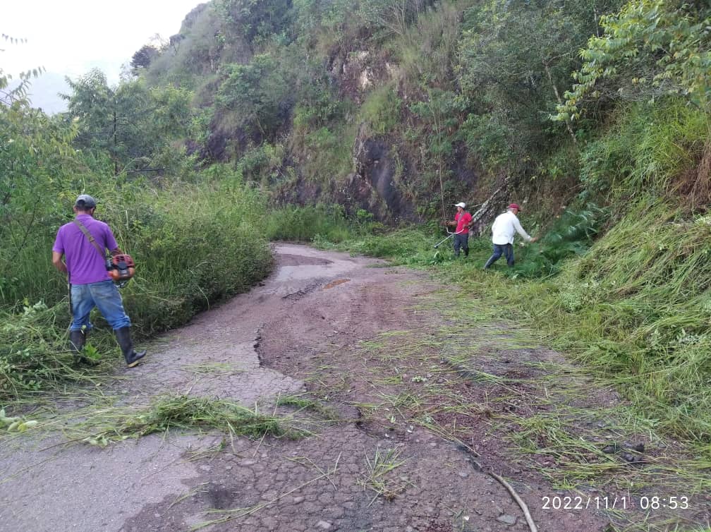 Desmalezamiento y embellecimiento se realiza en municipio Arzobispo Chacón