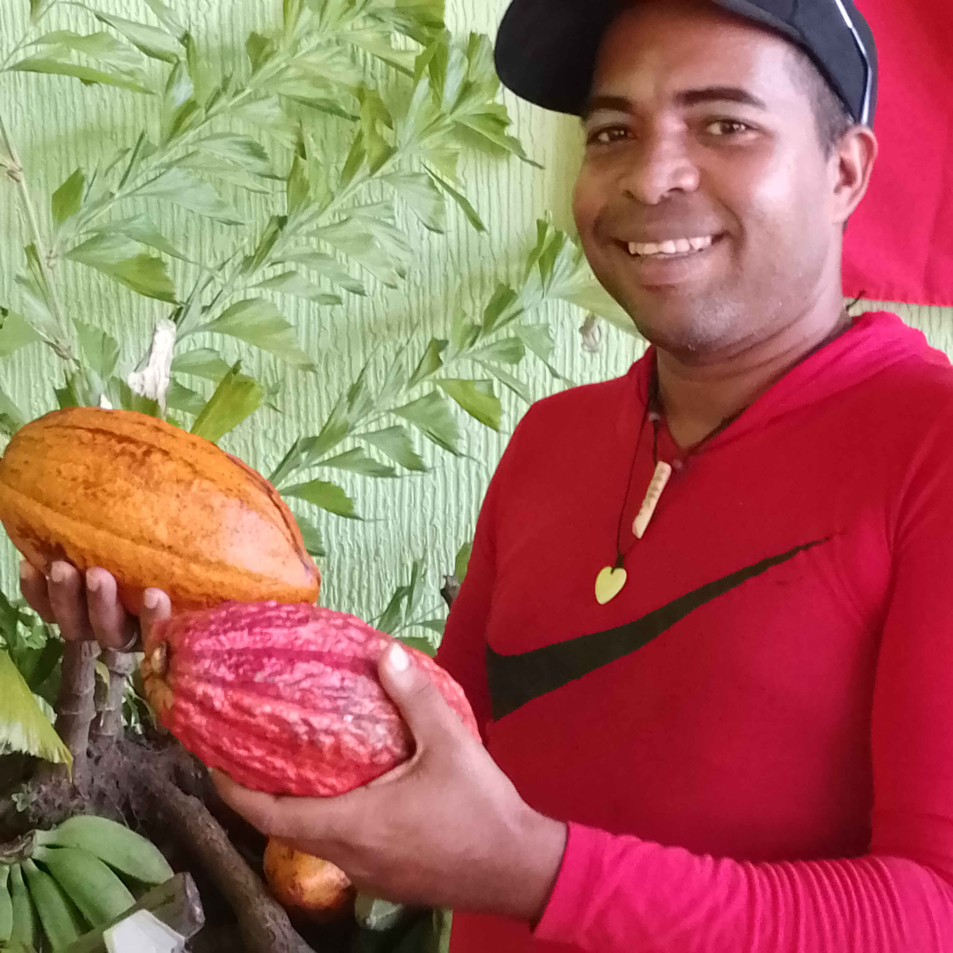 Corporación Socialista del Cacao: Tenemos que sembrar, cosechar y cultivar un cacao limpio