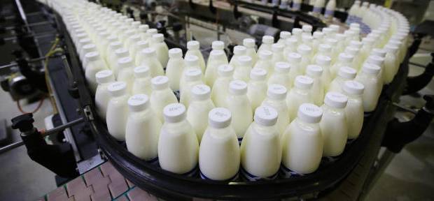 Pdte. Cavilac: solo se procesa 10 % de leche por problemas de transporte en el país