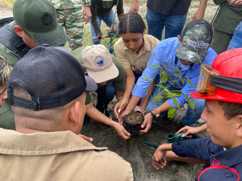 En Lara: Iniciaron Plan Nacional de Reforestación con la siembra de 150 árboles