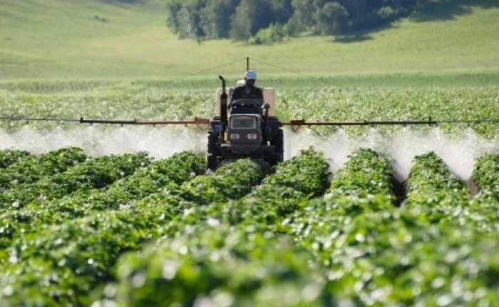 Fedeagro: es necesario abrir un canal humanitario para suministrar insumos a los campos
