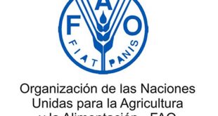 fao (1)