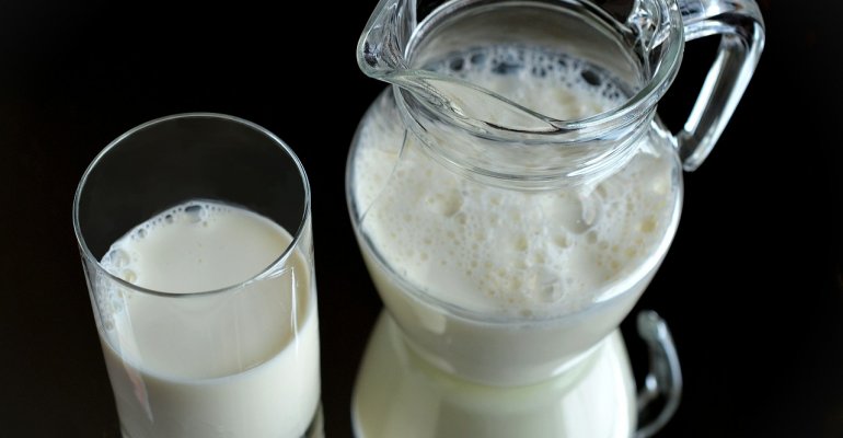 Científicos chilenos fabrican leche sin lactosa mediante microorganismos antárticos