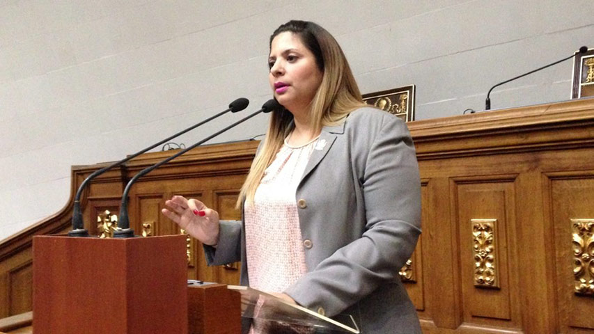 Dip. Nora Bracho exige al ministro Motta Dominguez atender la crisis eléctrica del Zulia