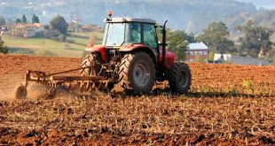 fedeagro28