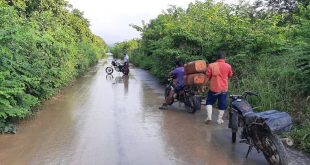 polilara lluvias