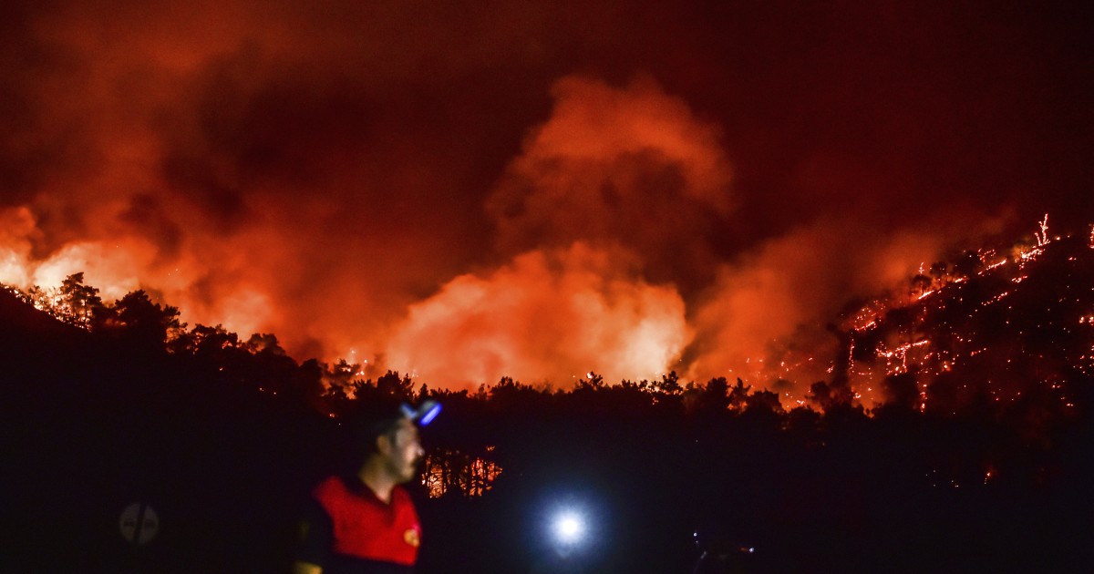 Requieren más apoyo aéreo para detener incendios en Turquía
