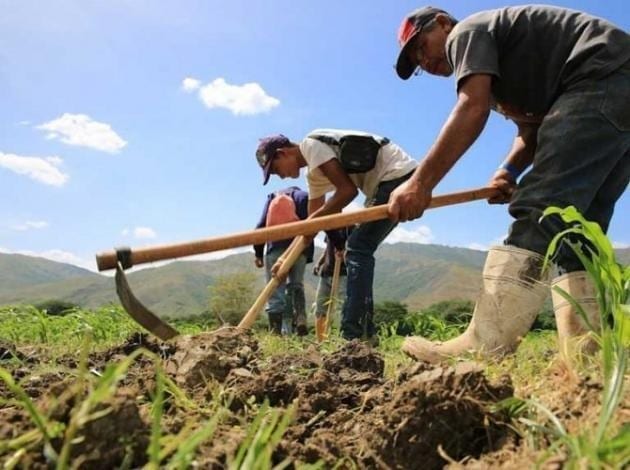 productores-lara-agricolas-cortesia
