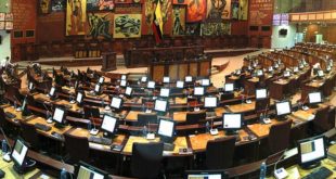 Asamblea de Ecuador aprobó el aborto en caso de violación