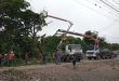 Fue eliminado Árbol de Caracaro de 32 metros que amenazaba la parroquia Tamaca