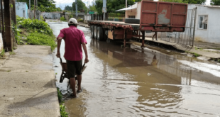 Intensas lluvias causan inundaciones y daños en varias viviendas del estado Barinas