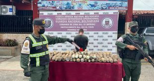 Detenido sujeto al transportar droga dentro de tubérculos en Mérida