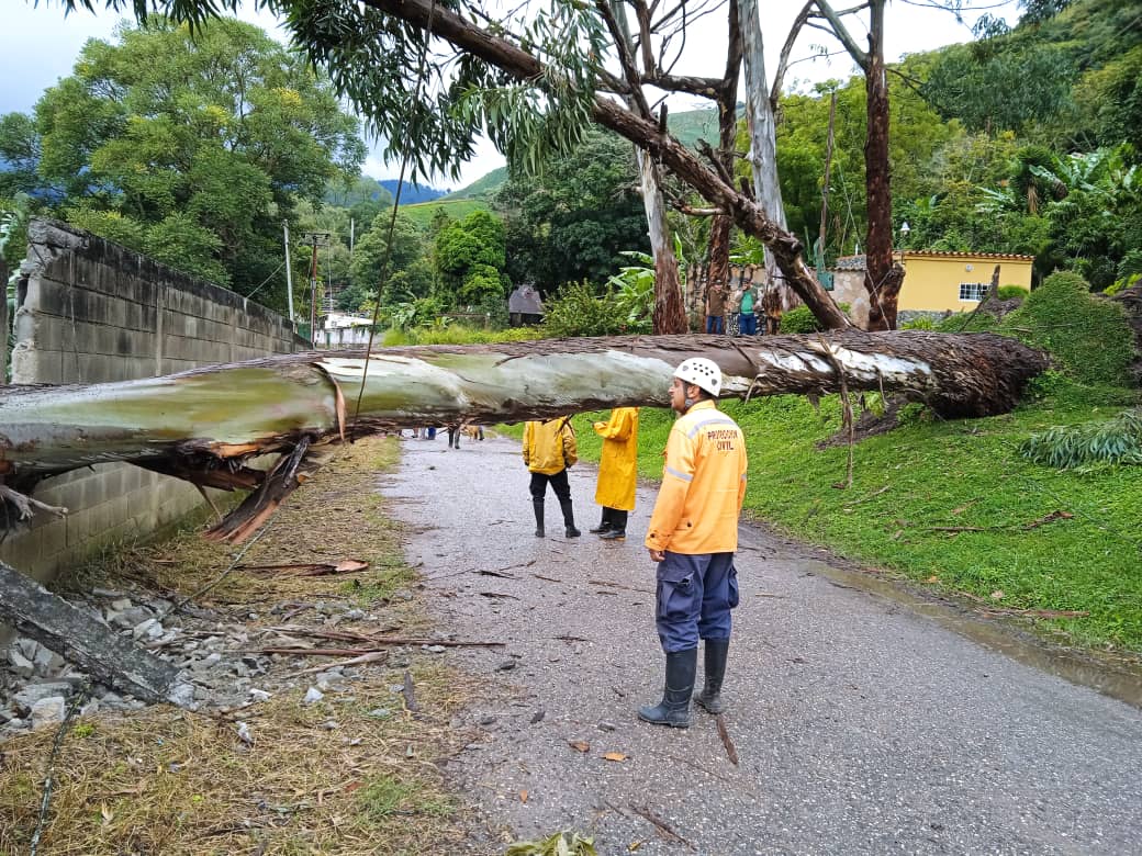 Autoridades atienden afectaciones por lluvias en los municipios Torres e Iribarren