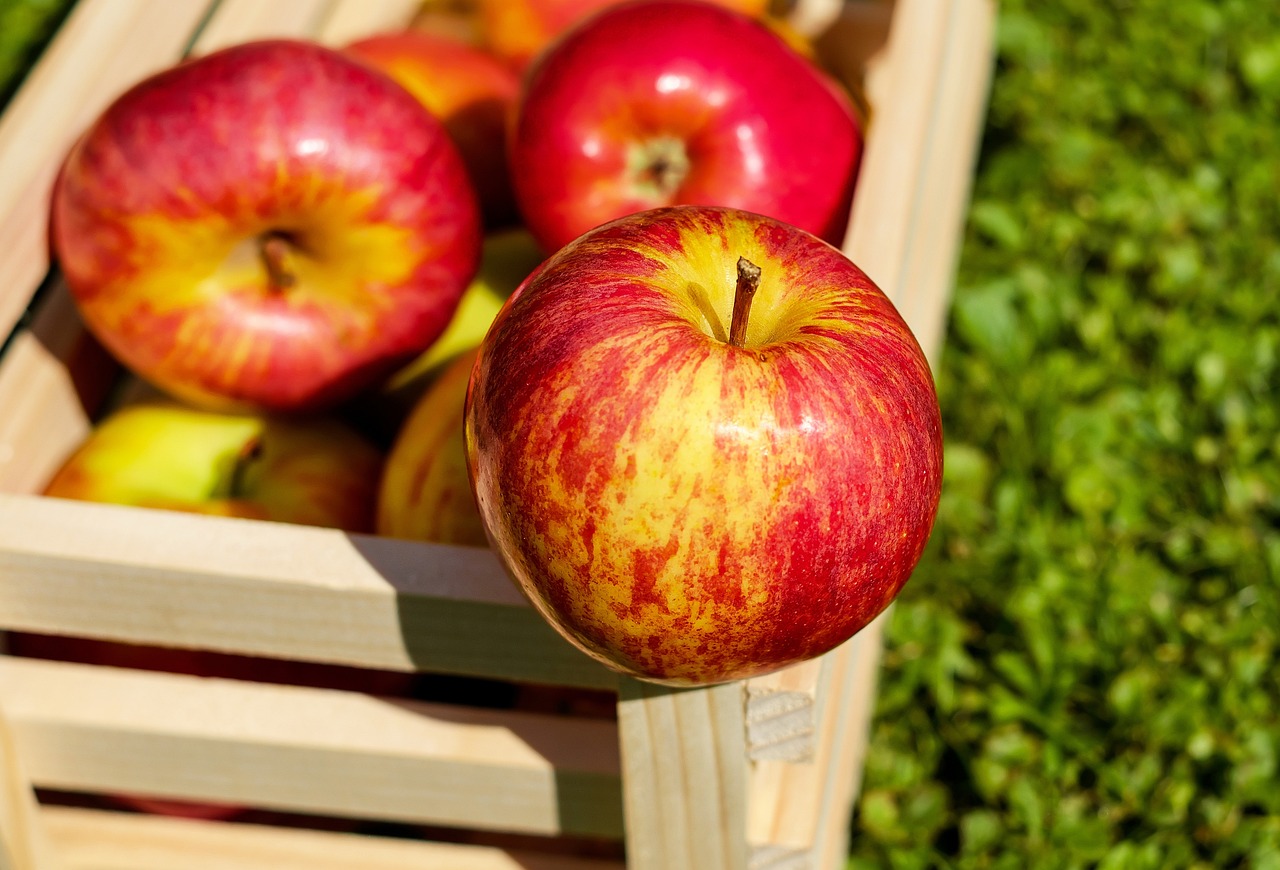 Consumir manzana ayuda a reducir riesgos de enfermedades
