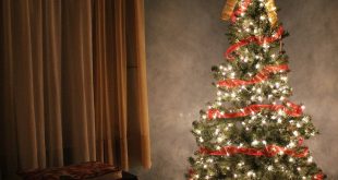 Evite incendios en casa instalando protectores a las luces de Navidad