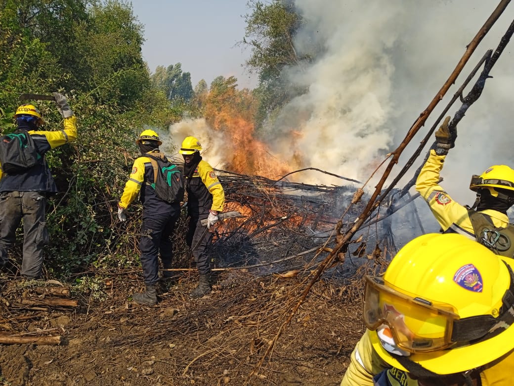 Equipo de Tarea Humanitaria "Simón Bolívar" combate las llamas de incendio en Chile