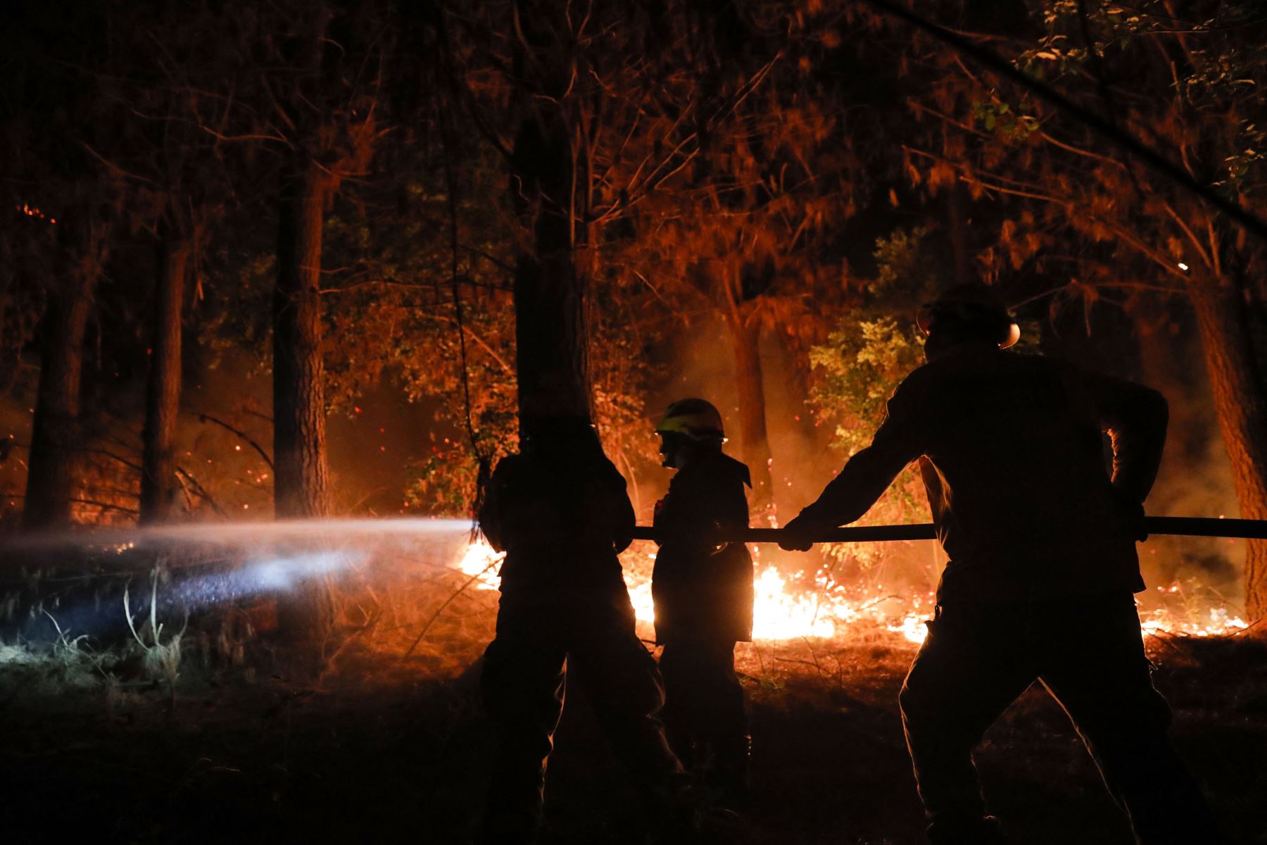 Gobierno de Ecuador enviará bomberos para combatir incendios en Chile