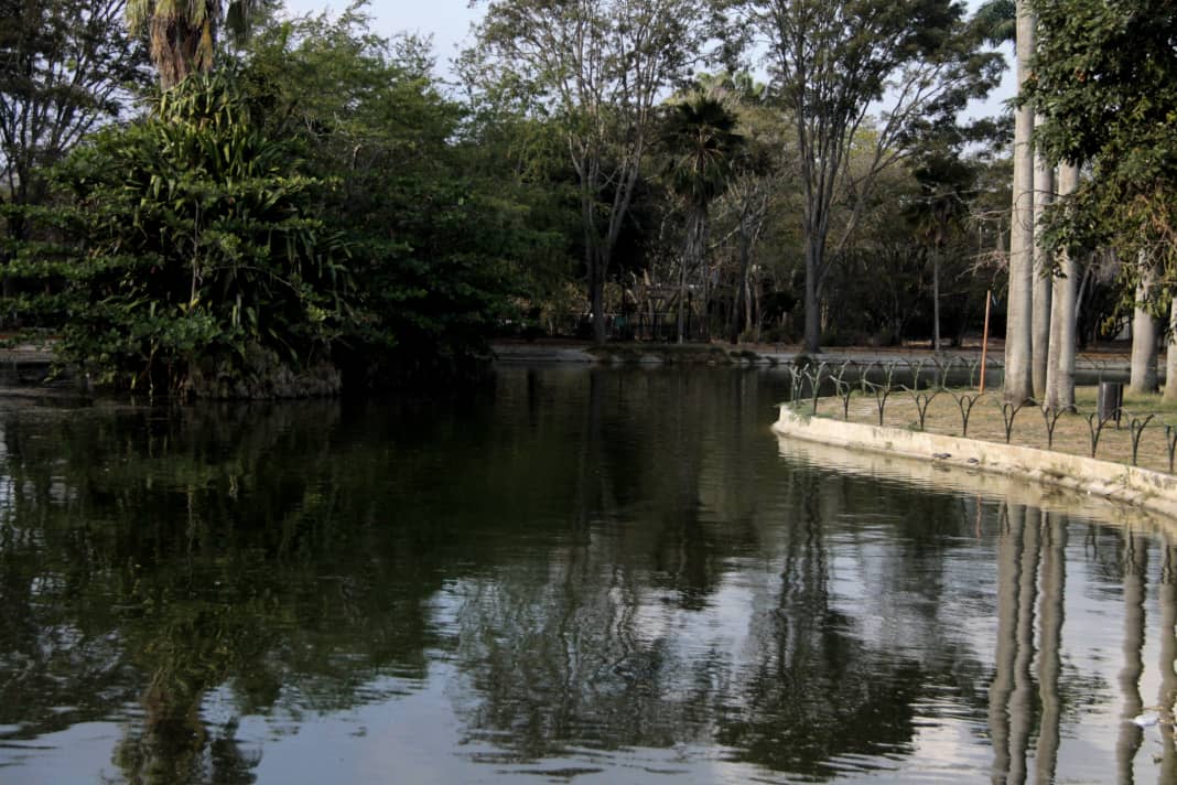 Gobierno de Lara exhorta a denunciar toda acción que atente contra el medio ambiente