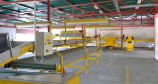 Reactivarán la Planta Acondicionadora de Tubérculos, Raíces y Hortalizas
