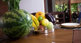 Adultos Mayores pueden recordar momentos felices con los sabores