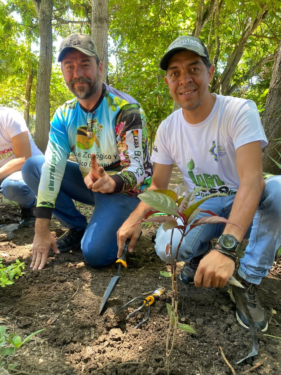 Más de 180 mil plantas se han establecido tras labores de Inecolara y Misión Árbol