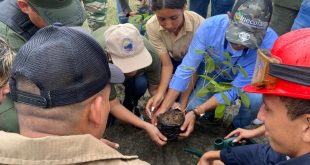 En Lara: Iniciaron Plan Nacional de Reforestación con la siembra de 150 árboles