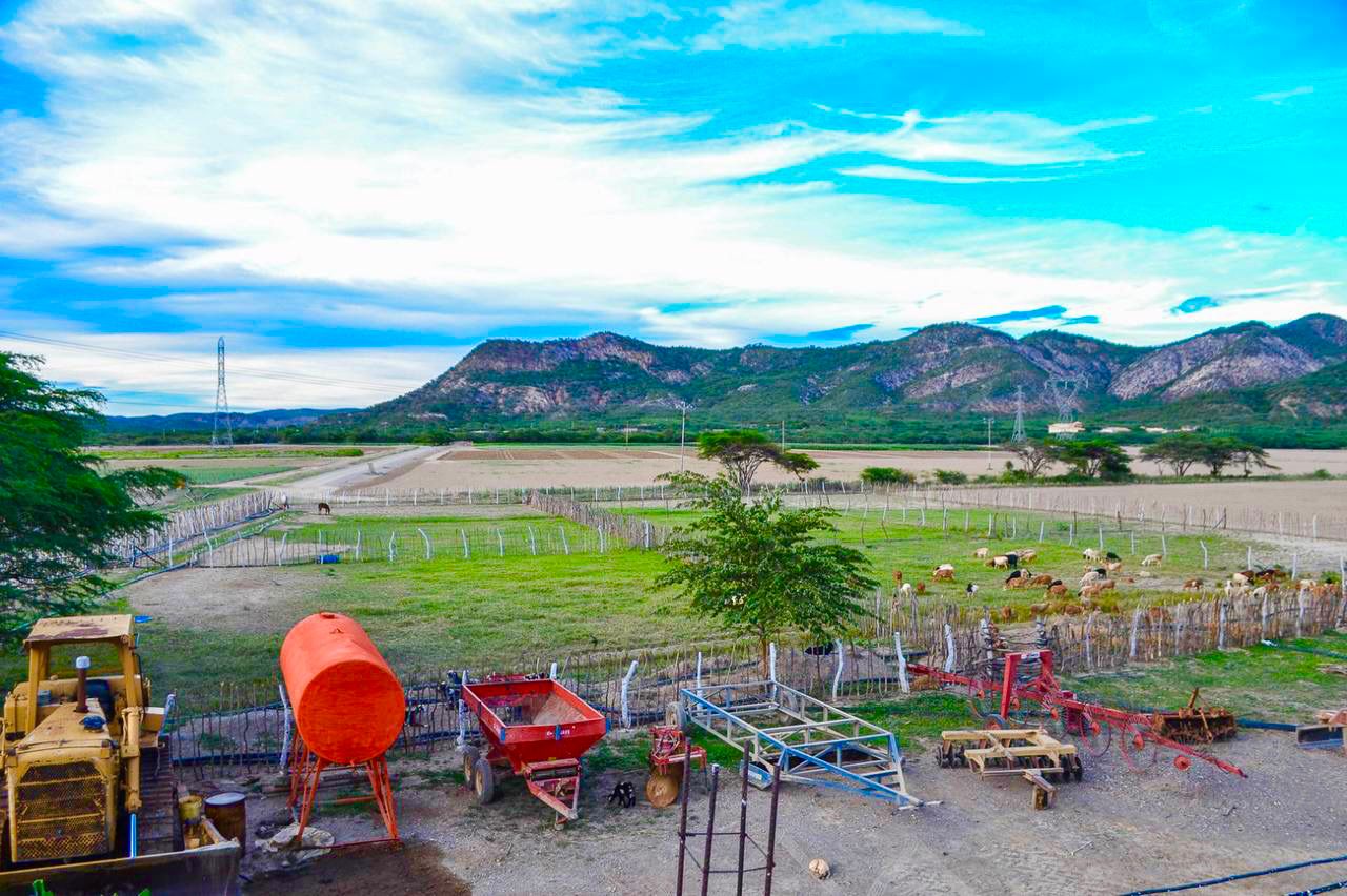 Gdor. Adolfo Pereira: el estado Lara se posiciona como principal Estado productor de cinco rubros