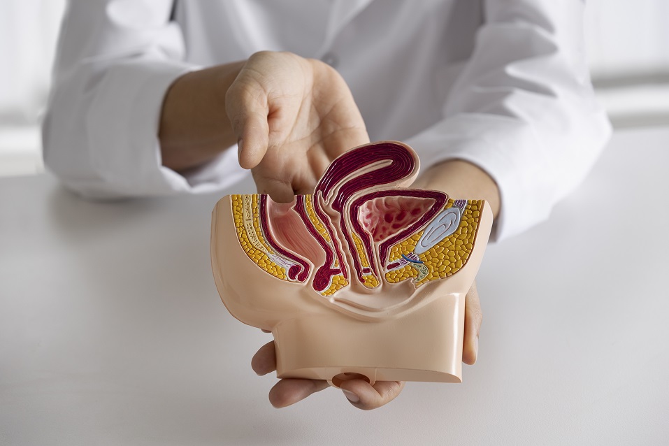 La hiperplasia benigna de próstata afecta calidad de vida del paciente