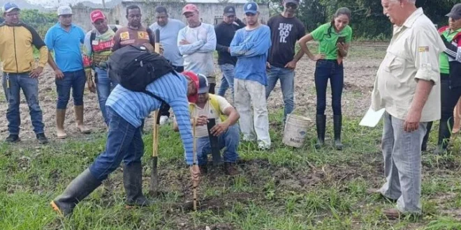 Photo: promar.tv Yaracuy Soil Studies Boost Communal Sugarcane Plan