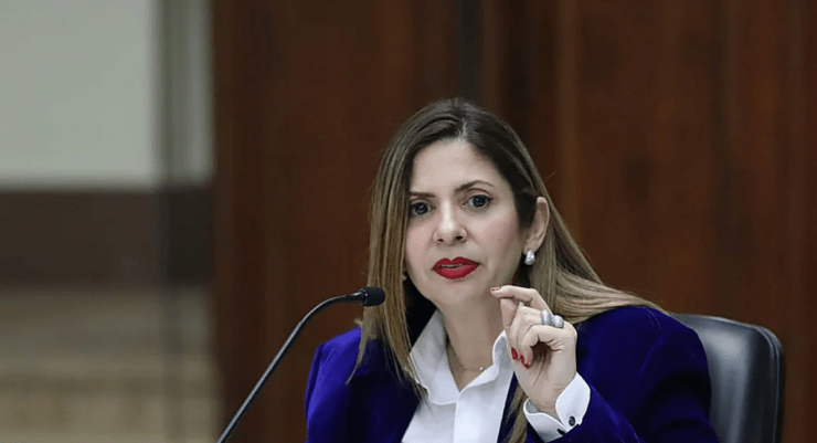 Diputada Bracho pide publicación del cronograma de racionamiento eléctrico por región